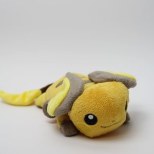 Raichu kuttari mit Schild Plüschtier Pokemon Original Japan Pokemon Center 2015