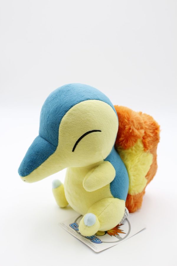 Feurigel Plüschtier Original Japan Pokemon Center 2021