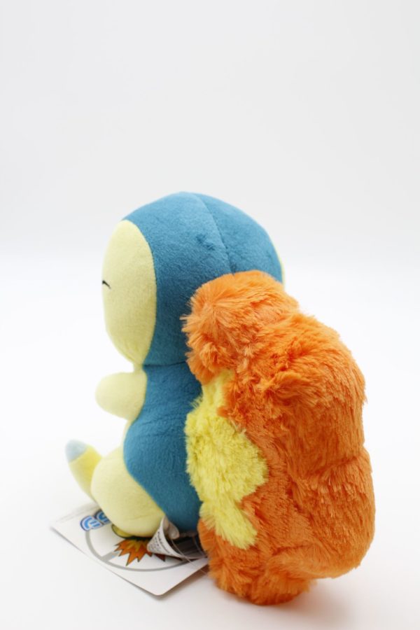 Feurigel Plüschtier Original Japan Pokemon Center 2021 – Bild 3
