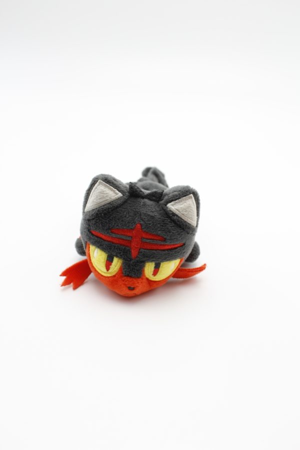 Flamiau kuttari Plüschtier Original Japan Pokemon Center 2018