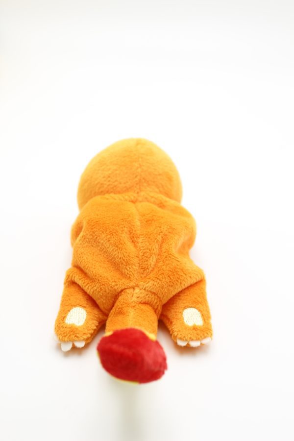 Glumanda kuttari 2 Plüschtier Original Japan Pokemon Center 2015 – Bild 2