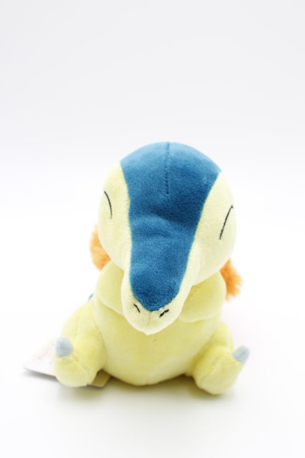 Feurigel Plüschtier Pokemon Original Japan Saneiboeki