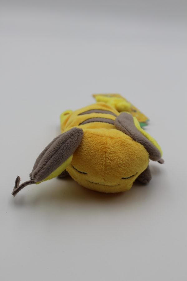 Raichu kuttari Plüschtier Original Japan Pokemon Center 2015