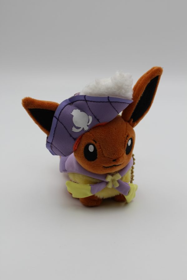 Evoli Pirat Plüschtier Original Japan Pokemon Center 2016