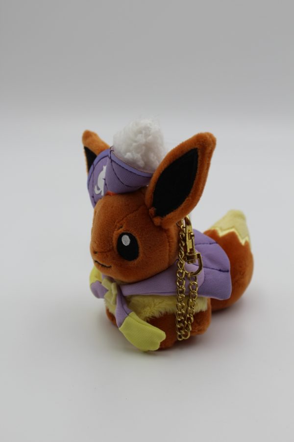 Evoli Pirat Plüschtier Original Japan Pokemon Center 2016 – Bild 3