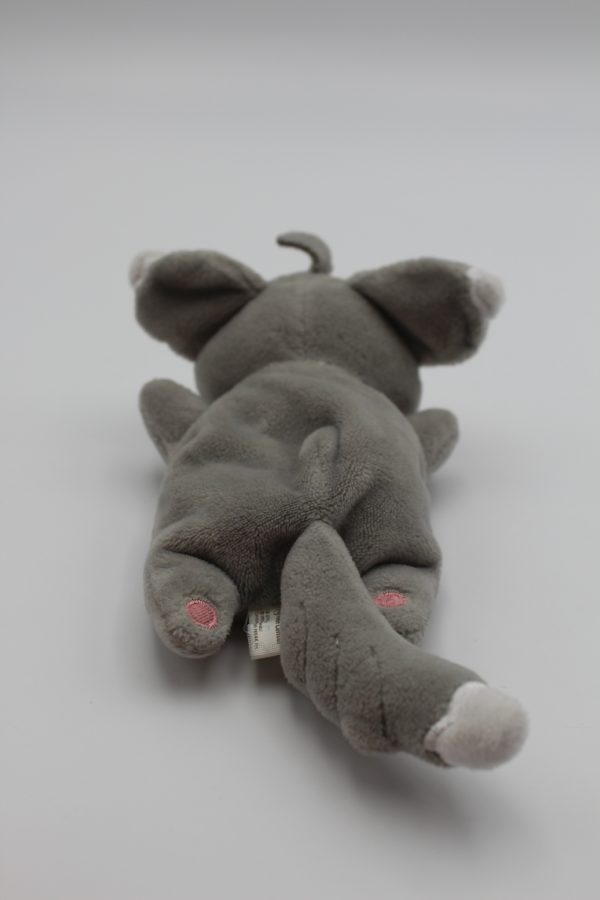 Picochilla kuttari Plüschtier Original Japan Pokemon Center 2016 – Bild 2