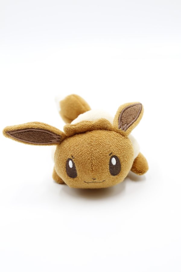 Evoli waschbar Plüschtier Original Japan Pokemon Center 2022