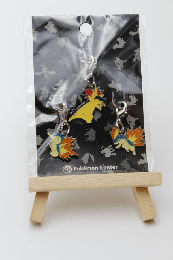 Feurigel Igelavar Tornupto Schlüsselanhänger Original Japan Pokemon Center 2009