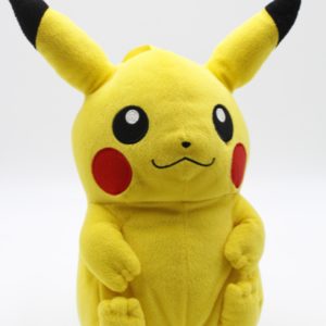 Pikachu mit Decke Plüschtier Pokemon Original Japan Banpresto