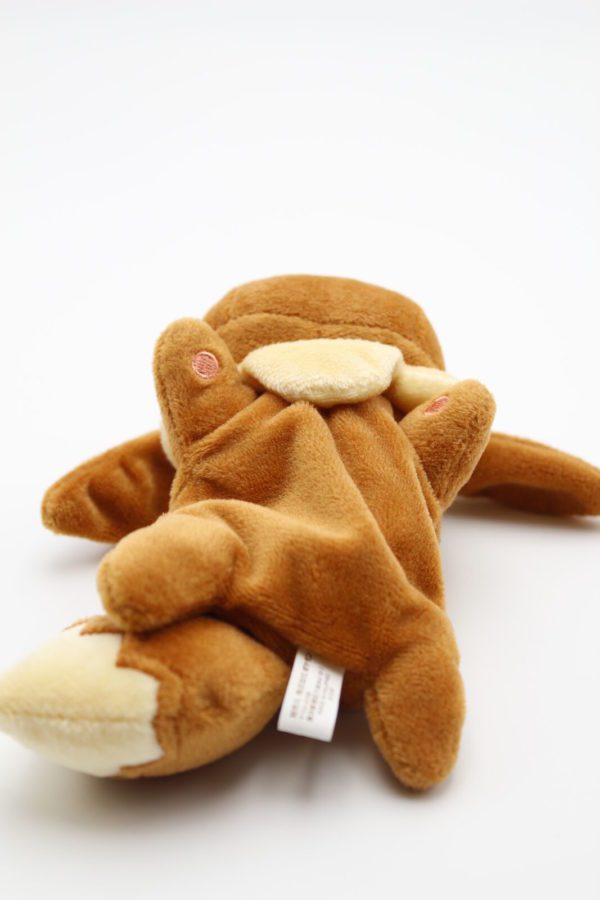 Evoli Kuttari Plüschtier Pokemon Original Japan Pokemon Center 2015/2018 – Bild 4