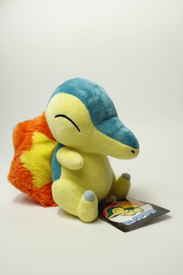 Feurigel ohne Schild Plüschtier Pokemon Original Japan Pokemon Center 2016
