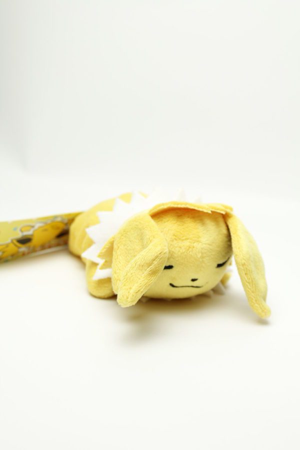 Blitza kuttari schlafend Plüschtier Original Japan Pokemon Center 2015