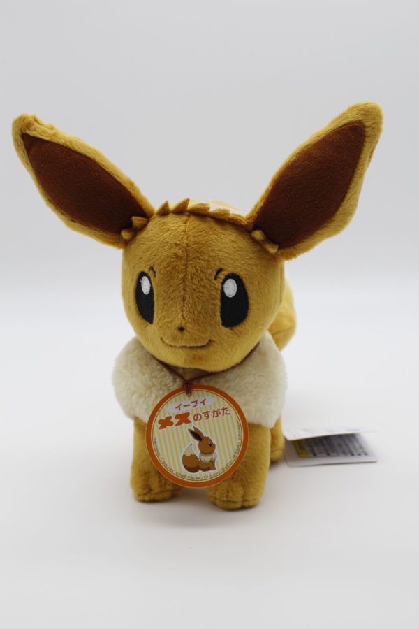 Evoli männlich Plüschtier Pokemon Allstar Collection Original Japan Saneiboeki