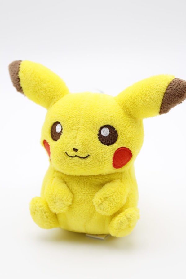 Pikachu Plüschtier Pokemon Canvas Original Japan Pokemon Center 2010