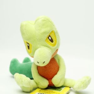 Geckarbor Plüschtier Pokemon Canvas Original Japan Pokemon Center 2011