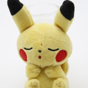 Pikachu Puchi Plüschtier Pokemon Original Japan Pokemon Center 2019