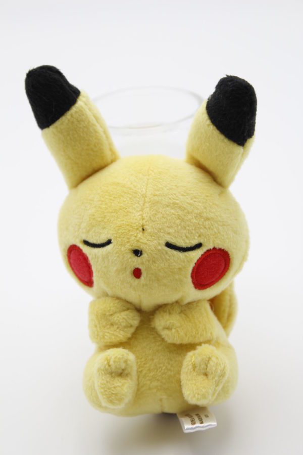 Pikachu Puchi Plüschtier Pokemon Original Japan Pokemon Center 2019